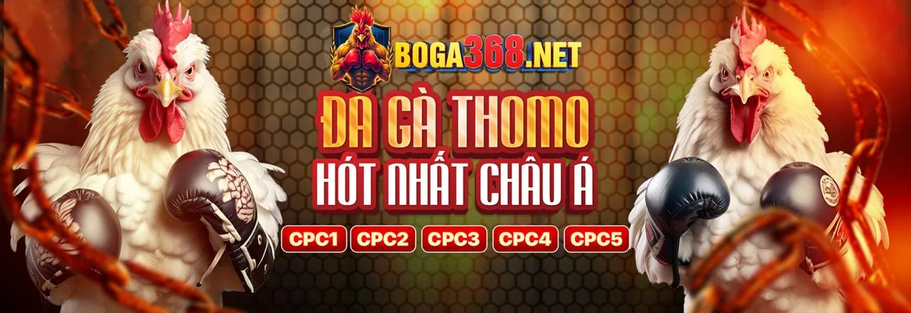 Hình ảnh tổng quan hướng dẫn chơi game của 85bet nhà cái